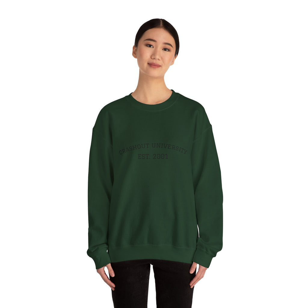 Crashout University Crewneck Sweatshirt | Cozy College Apparel, Unisex Sweatshirt, Gift for Students, Campus Style, College Spirit Wear