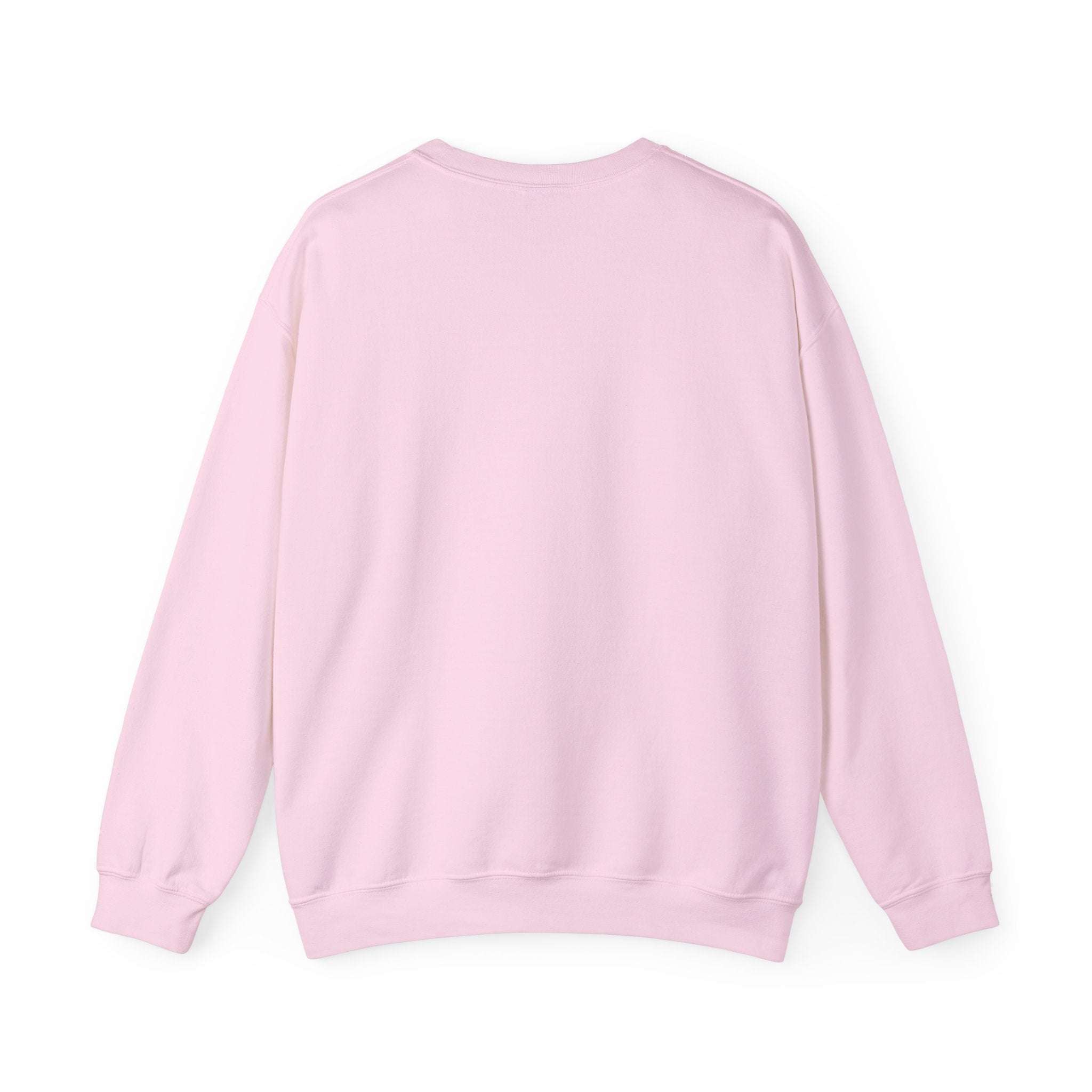Crashout University Crewneck Sweatshirt | Cozy College Apparel, Unisex Sweatshirt, Gift for Students, Campus Style, College Spirit Wear