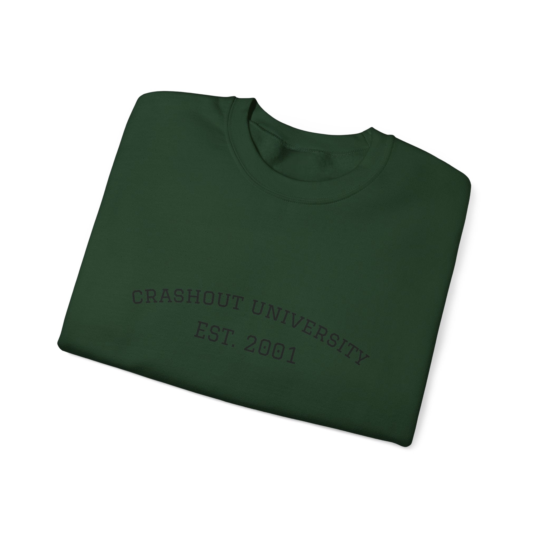 Crashout University Crewneck Sweatshirt | Cozy College Apparel, Unisex Sweatshirt, Gift for Students, Campus Style, College Spirit Wear